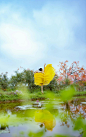 Free A woman is standing in the water with a yellow flower Stock Photo