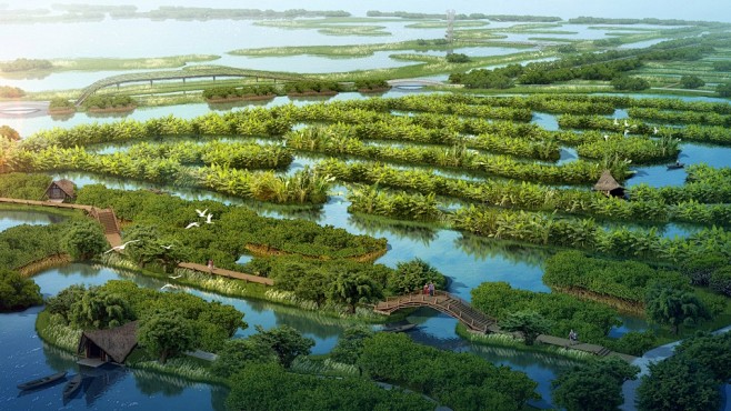 横琴国家湿地公园概念方案设计，珠海 / ...