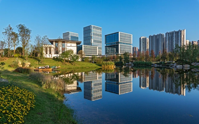 云淡风轻 近处风景 - 城市论坛 - 天府社区-花瓣网