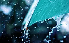 23寸宽屏唯美夏季春雨电脑桌面高清壁纸桌面壁纸2