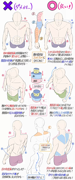 花食泽采集到绘画素材  身体