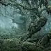 Top Creative Work On Behance : Showcase and discover creative work on the world's leading online platform for creative industries.