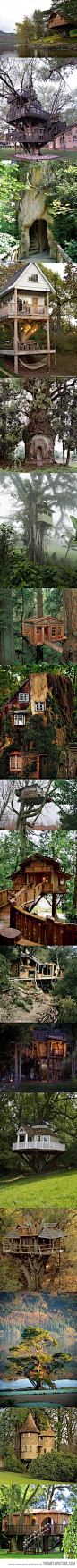 I need a grownup tree house…