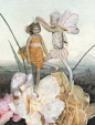 俄罗斯画师Nadezhda Illarionova的童话插画。你看到了几个故事呢？ #王国分享# O网页链接 ​​​​
