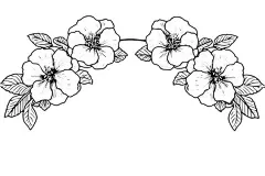 图源免费EPS |芙蓉花边手绘水墨草图。雕刻风格矢量插图