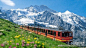 【世界上行驶最慢的观景快车】瑞士冰川快车被称为“世界上行驶最慢的观景快车”，其行程近7个半小时，整个线路越过欧洲大陆的分水岭，行驶在阿尔卑斯的正中间。坐在舒适的全景列车里，壮丽的景观尽收眼底。