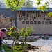 河南汝州：民俗文化点亮田园梦_央广网