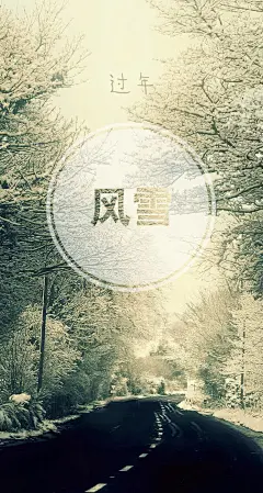 春运旅途高清手机壁纸744*1392