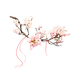 采集图片