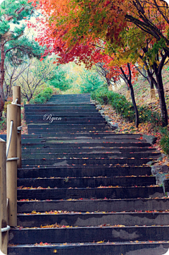 奕天采集到旅行