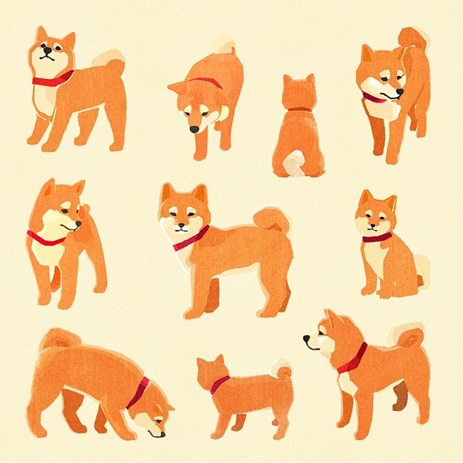 Won Hye Min | 一只超萌柴犬...