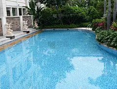 酒店游泳池,泳池边,水,度假胜地,水平画幅,枝繁叶茂,景观设计,无人,蓝色,游泳池