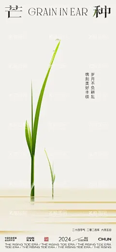 芒种节气海报  - 源文件下载【酷图网】海报,地产,二十四节气,芒种,耕耘,插秧,禾苗,插画,意境,