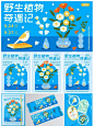 野生植物奇遇记 | 文创品牌设计