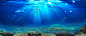海底背景图 免费下载 页面网页 平面电商 创意素材