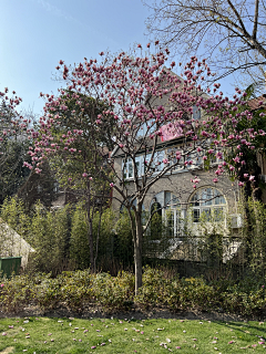 拉普兰德妮采集到花境(春季)