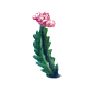 水彩仙人掌插画 png元素免扣 cactus11