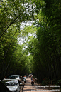 行游在嫩竹泻翠之间, 流年飘飘旅游攻略