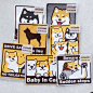 新品 仓屋原创 柴犬 doge PVC 防水车贴/行李箱 狗 秋田（现货）-淘宝网