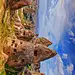 “精灵烟囟”和窑洞，土耳其卡帕多西亚 (© Ivan Kmit/Alamy)

2020-03-02

 1797