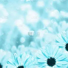 风景花的边框模糊背景，花