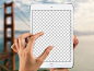 iPad Mini Mockups 12个Sketch＆Photoshop模板