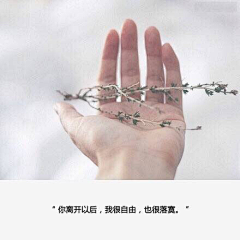 莈冇噯の薀柔采集到女人都喜欢的婚纱