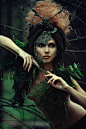 Pagan Beauty - Dark Forest Witch