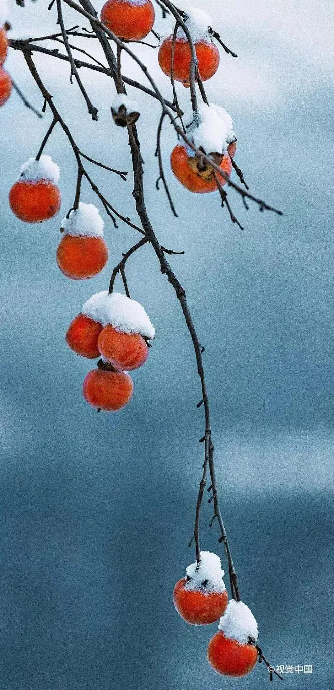 《霜·雪》雪