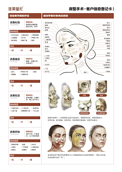 蓝白紫采集到线xst
