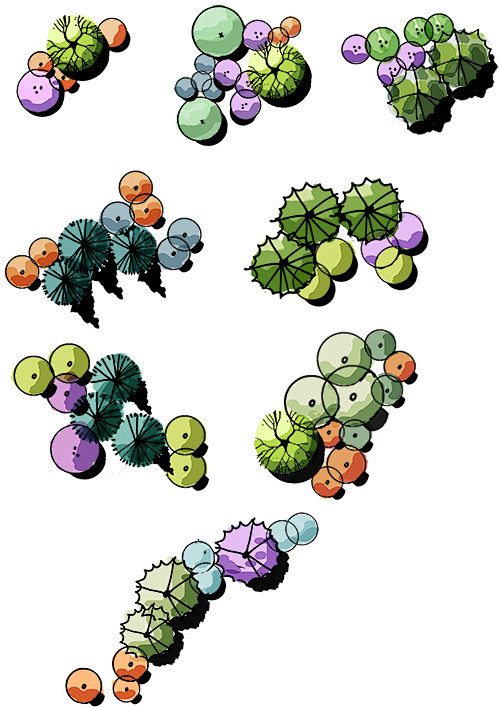 ps植物造景平面图首页资源景观大数据landscapebigdata