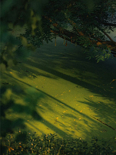 龟龟笼滴冻采集到氛围-光影-色彩 实景