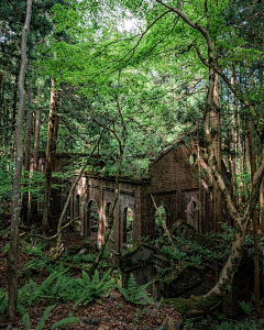 王孙real采集到场景