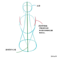 呆呆巫采集到【人体】结构-解剖