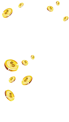 O金币