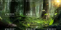 森林创意海报图片  - 源文件下载【酷图网】意境,唯美,简约,极简,梦幻,创意,插画,手绘,梦境,小清新海报,卡通插画,森林插画,小清新,简约风格,国潮,韵味,温馨,文艺范,文艺海报,手绘风,浪漫,治愈系,可爱,温暖,安逸,舒适,梦中世界,星空,森系插画,淡雅,文艺风,中国风,放飞梦想,创意合成,萤灵之光,丛林,树林,动物,奇幻森林,森林海报