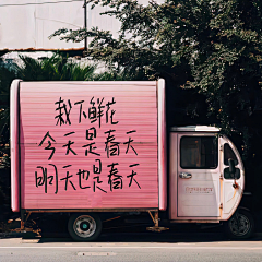 某晓晓小姐采集到21