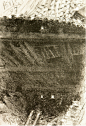 门采尔 - 必应 Bing Images