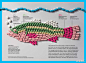 『信息图表』“Fish Pharm”，受伤的鱼：受水污染影响，在鱼体内检测到一些不同比例的影响人体健康的药物成份，但对鱼类则可能会产生致命的灾难，而这一切正是由人类自己造成的（下图中为同颜色的药片）。 @美国国家地理 http://t.cn/akEmQv