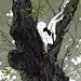 @11YBU 的个人主页 - 微博