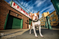 【美图分享】Kaylee Greer的作品《Fenway Park Pup》 #500px#
