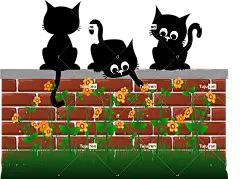 猫 小猫 黑猫 猫科动物 可爱 动物 家畜 宠物 猫咪