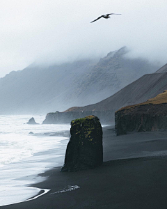 泊枫采集到独景
