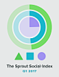 The Q1 2017 Sprout Social Index