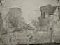 Painted_wall_by_jappluz___pauline-boiteux-30122338-813131022204457-470780296-o