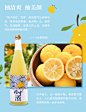 倾酌 北岛窨之窨盐柚子酒720ml 日本进口果酒 男女士低度甜酒-淘宝网