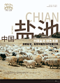 盐池滩羊海报 - 小红书