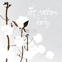 棉花