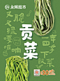 贡菜轿厢广告，41.5x56