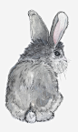 手绘灰色可爱小兔子_新图网 https://ixintu.com 卡通小兔子 手绘小兔子 手绘动物 动画 动漫 儿童画 卡通动物 灰色兔子
